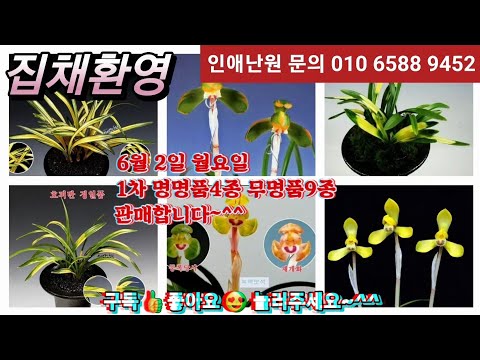 유튜브 썸네일