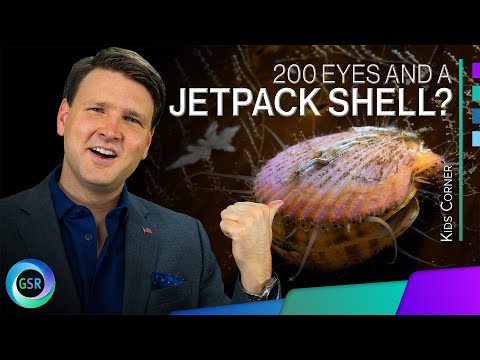 200 Eyes and a Jack Shell? Scallops Show Off Brilliant Design | Kids Corner with David Rives