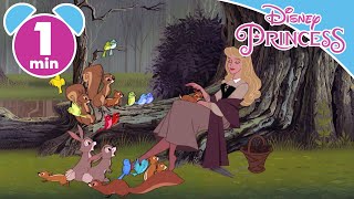 Download lagu Sleeping Beauty | The Forest Animals Pose As Prince | Disney Princess ADVERT mp3