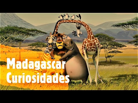 Las 8 Curiosidades De Madagascar