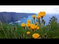 Peaceful Music, Relaxing Music, Instrumental Music, "Seascapes" by Tim Janis