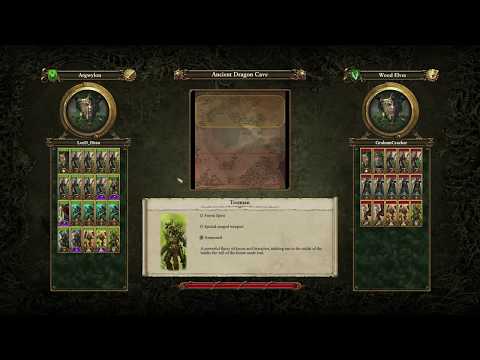 Wood Elves vs Wood Elves Total War  WARHAMMER (feat. Hawk-Eyes of Drakira - Waywatchers)