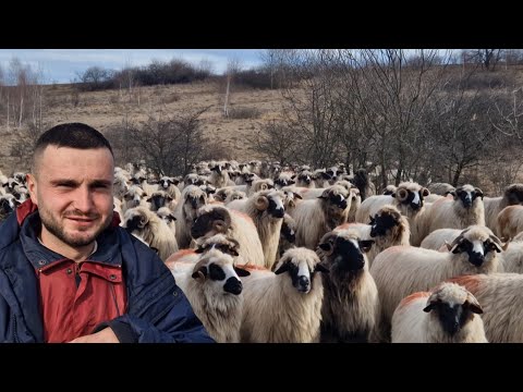 OILE TÂNĂRULUI RUBEN GANTAGAN DE LA SIBIȘEL, JUDEȚUL HUNEDOARA