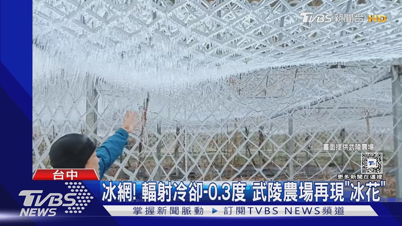 冰網!輻射冷卻-0.3度 武陵農場再現「冰花」