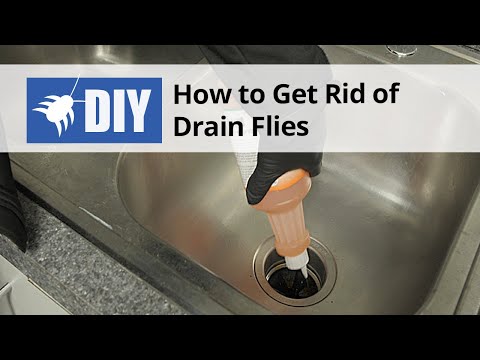  How to Get Rid of Drain Flies - Drain Fly Kit Video 