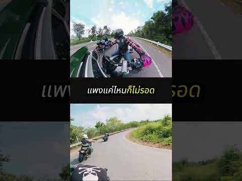 ถึงรถจะแพงแค่ไหนก็ไม่รอด #harleydavidson #ขี่ฮาเล่ย์ #bikers #ฮาเล่ย์ #ขี่รถเล่น #เที่ยว
