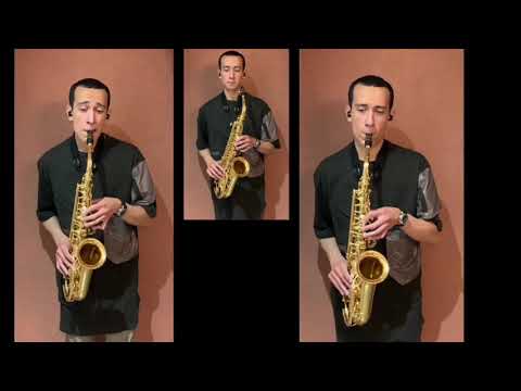 James Bond Theme (007) Saxophone cover by sepysax