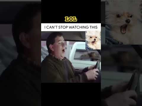 LOL #funny #shorts #shortsfeed #funnyshorts