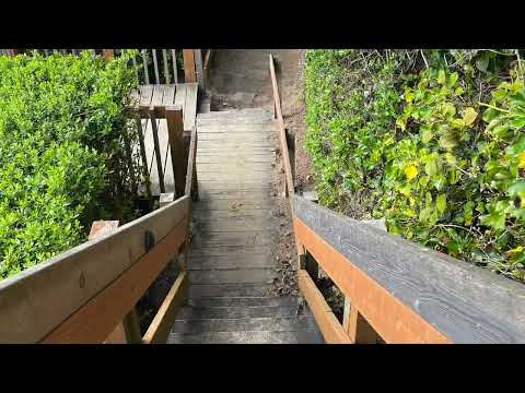 Wrapping up our trip to Lincoln City. Walking the beaches and seeing the local spots