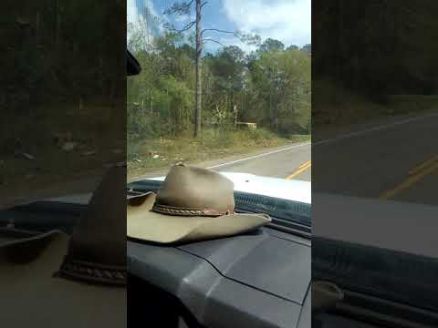 Tornado March 28, 2021