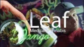 GLeaf DJango Flower Review!