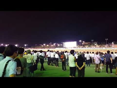 2017/6/28 第40回 帝王賞（JpnI） 大井競馬場