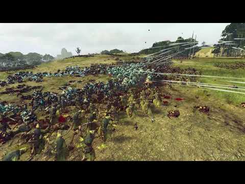 Skaven Vs. Lizarmen - front line battles