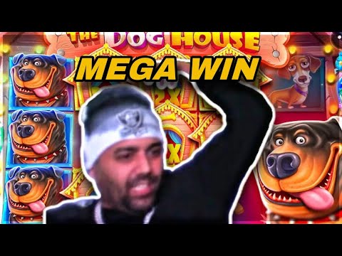 🐾 The Dog House liefert wieder richtig ab! | Al Gear Stream Highlights