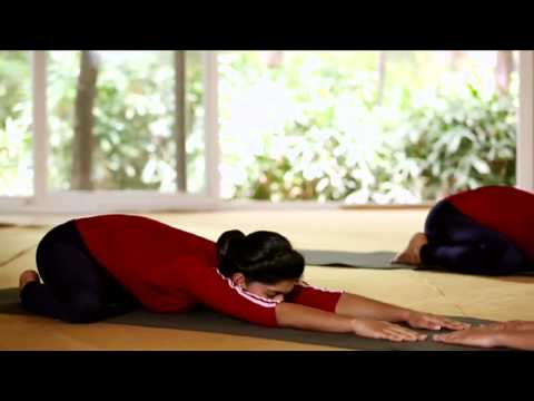 Shashankasana  (The Hare Posture)