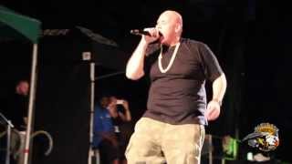 Fat Joe - Live Summer Stage Central Park From The Latin Alternative Music Conference (LAMC2013)