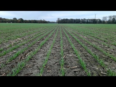 Teil 9 - Schlussszene