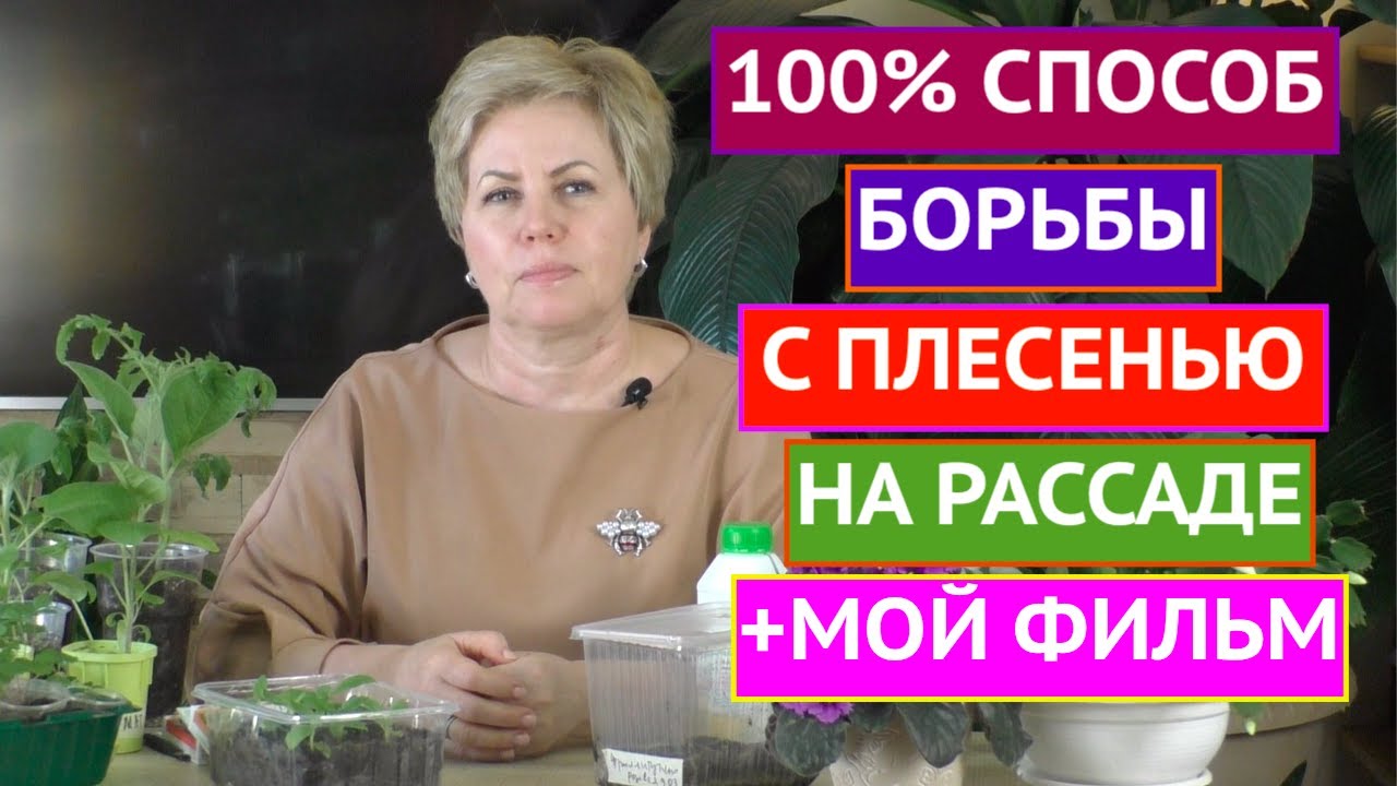 Плесень на рассаде может быть очень опасна!