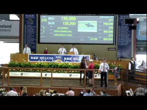 2012 Horses In Training Sale Session 2