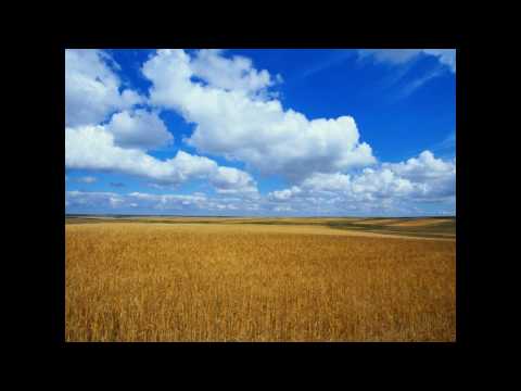 Norman Doray & Tristan Garner - Last Forever (instrumental)