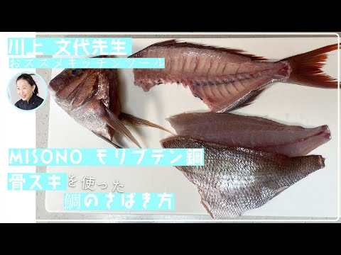 Misono（ミソノ） モリブデン鋼 骨すき角型 No.541 （東型鳥魚庖丁）14