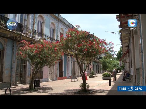 "Acá estoy": Barrio Reus al Norte