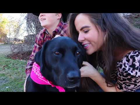 The Band McMillan- Dear Miranda (Official Video) #thebandmcmillan #dearmiranda