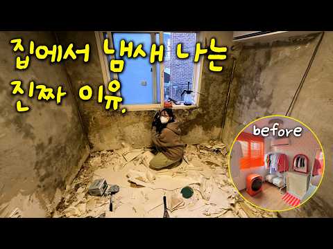 의외의 발견 12겹 벽지...구옥 리모델링의 경고