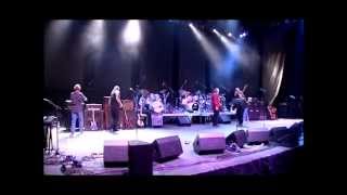 Hobo Blues Band - Tobacco Road