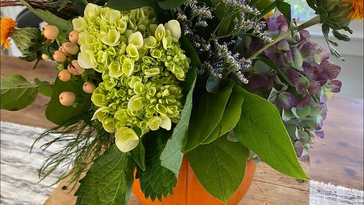 “Pump”kin Up Your Grocery Store Flowers Moore Time Offline