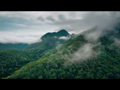 190915 A 01 Timelapse 02 preview