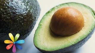 Как вырастить авокадо в домашних условиях - Видео онлайн