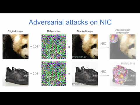 NIC-RobustBench video