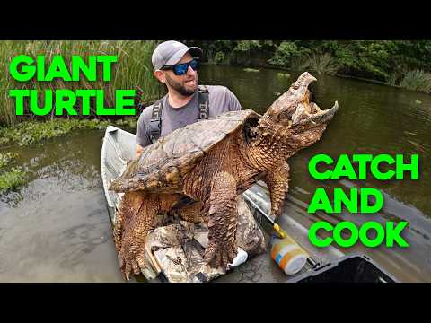 ALLIGATOR SNAPPING TURTLE Catch and Cook in Louisiana