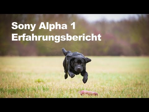 Sony ALPHA 1 - Ein Erfahrungsbericht