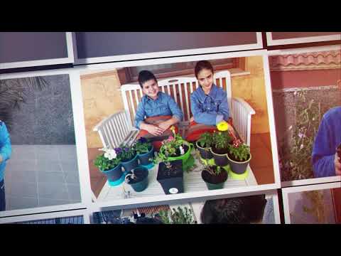 Supercirculares. CEIP Gerardo Martínez. Socuéllamos. Ciudad Real.