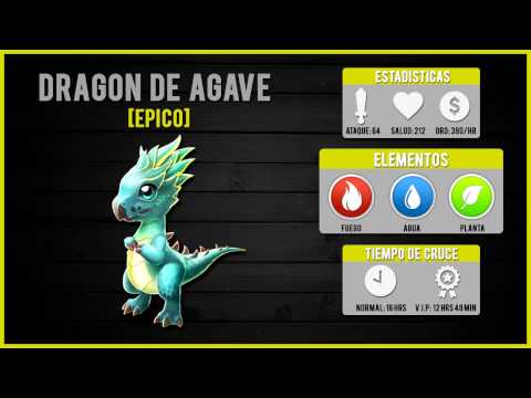 Combo Mania Express #15 | Excelentes Combos para el Dragón de Agave! 🐉