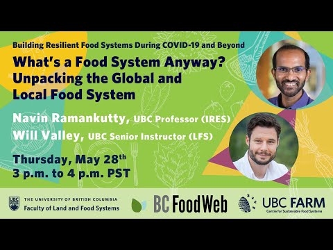What is a food system anyway?  Unpacking the global and local food system