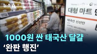 1000원 싼 태국산 달걀 ‘완판 행진’ / 채널A / 뉴스A