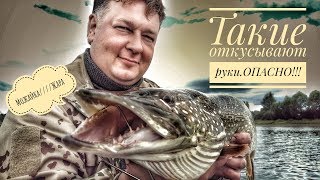 Рыбалка на можайском водохранилище осенью