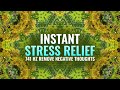 741 Hz Healing Frequency: Stress Relief & Remove Negative Thoughts