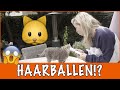 Wat te doen tegen haarballen? | DierenpraatTV