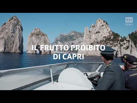 Faraglioni a rischio per i datteri | RSI Info