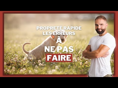 Apprendre la propreté chez le chiot : les erreurs à éviter