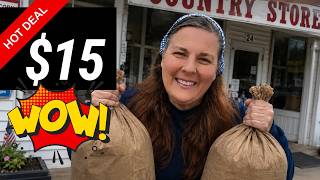 Frugal Shopping Day — I Couldn’t Believe This Deal!
