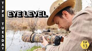 How to Get Better Wildlife Photos by Shooting at Eye Level | Tips Tuesday 13