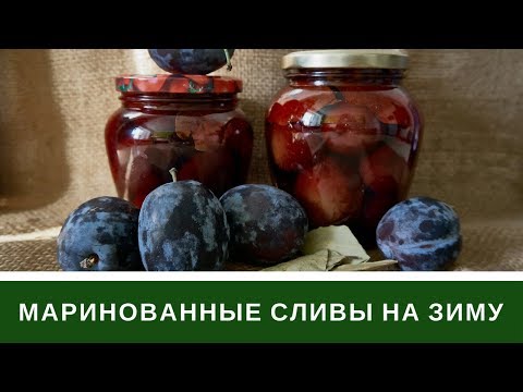 Маринованные Сливы На Зиму: Мой Супер Рецепт
