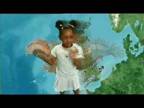 Boogie Beebies - Every Kind of Weather Song