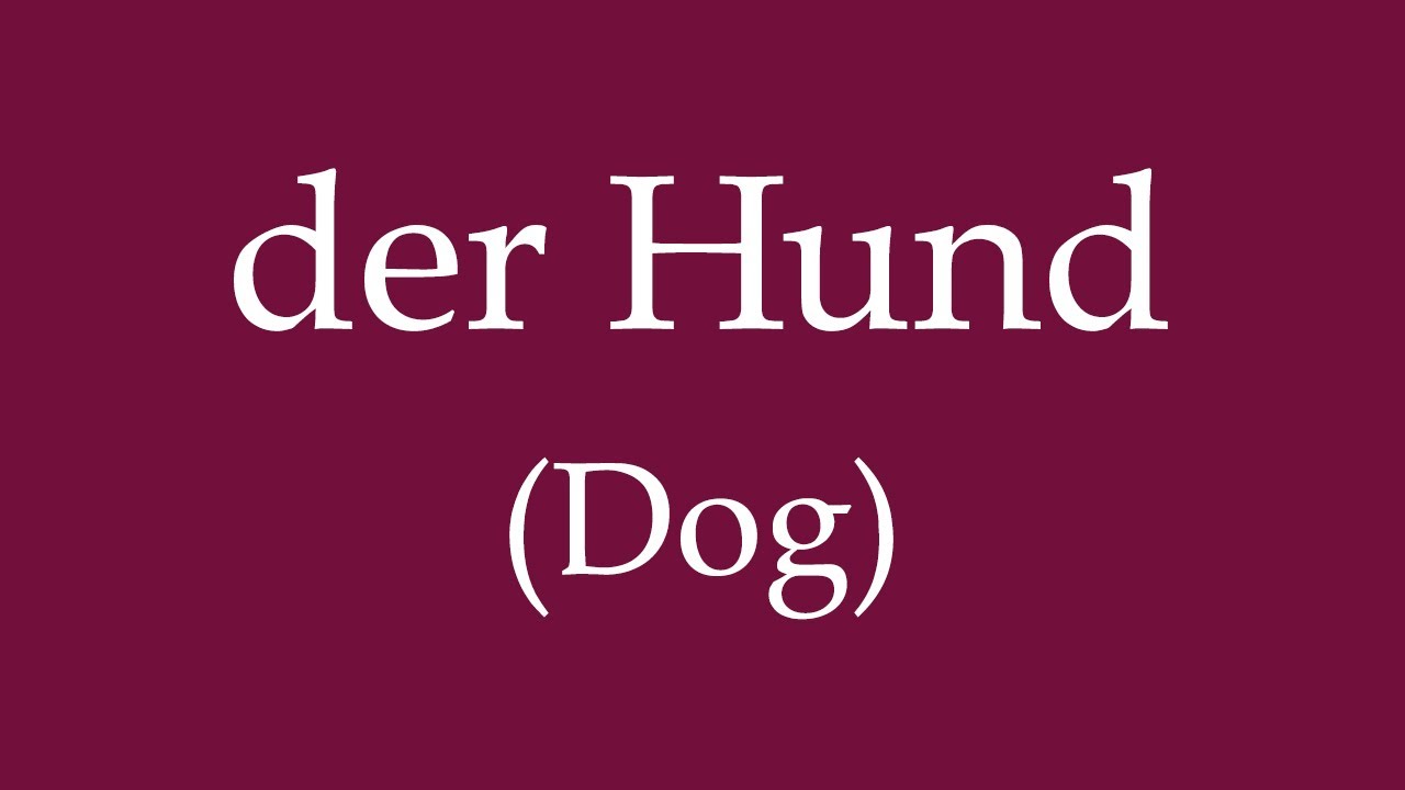 How to Say “Dog” and Train Your Dog in German?
