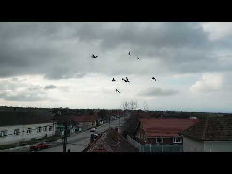 Discover Romania from Above: Chijic, Bihor county – Aerial Drone Tour